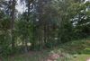 Walker Road photo